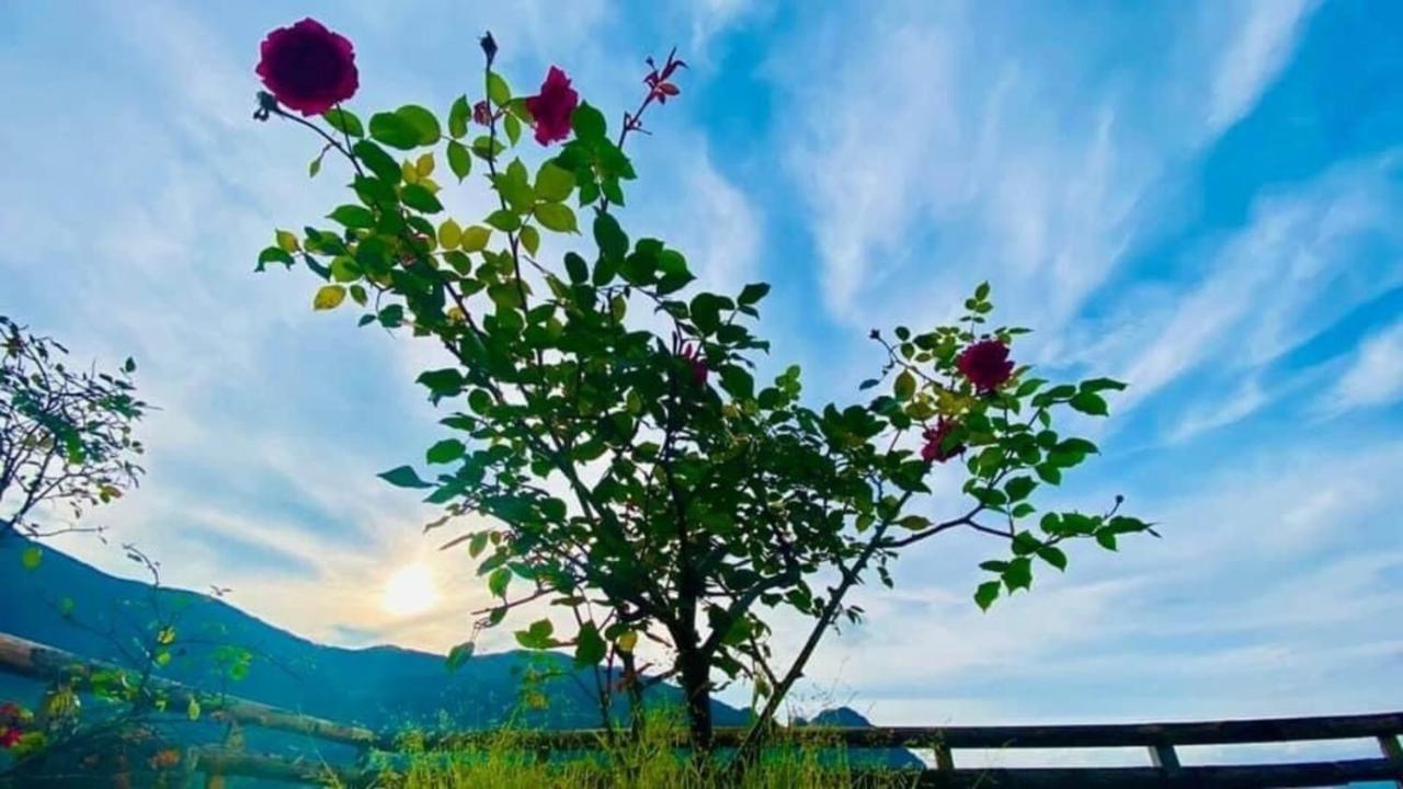 Ha Lu Homestay Λάο Τσάι Εξωτερικό φωτογραφία